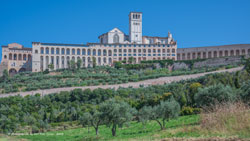 assisi